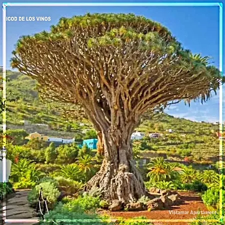 דירה The Vistamar 158 *