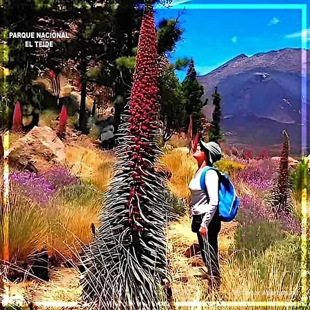 דירה The Vistamar 158 *