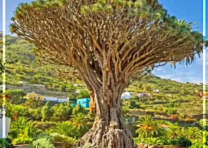 Appartement The Vistamar 158 *