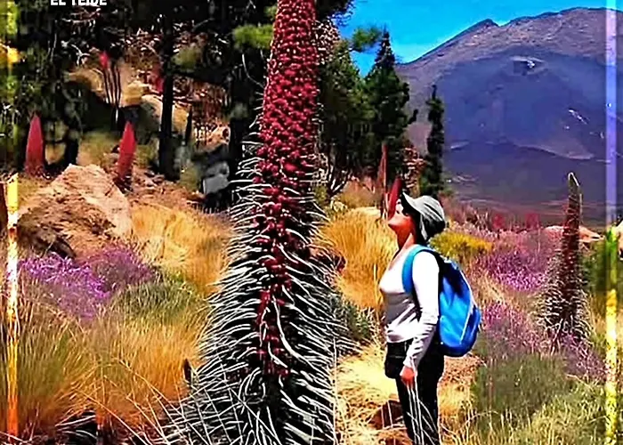 Appartement The Vistamar 158 *